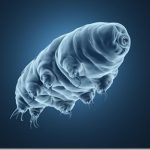 Improving Azure Virtual Machines resiliency with Project Tardigrade