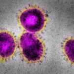 Coronavirus Poll Results: Cyberattacks Ramp Up, WFH Prep Uneven